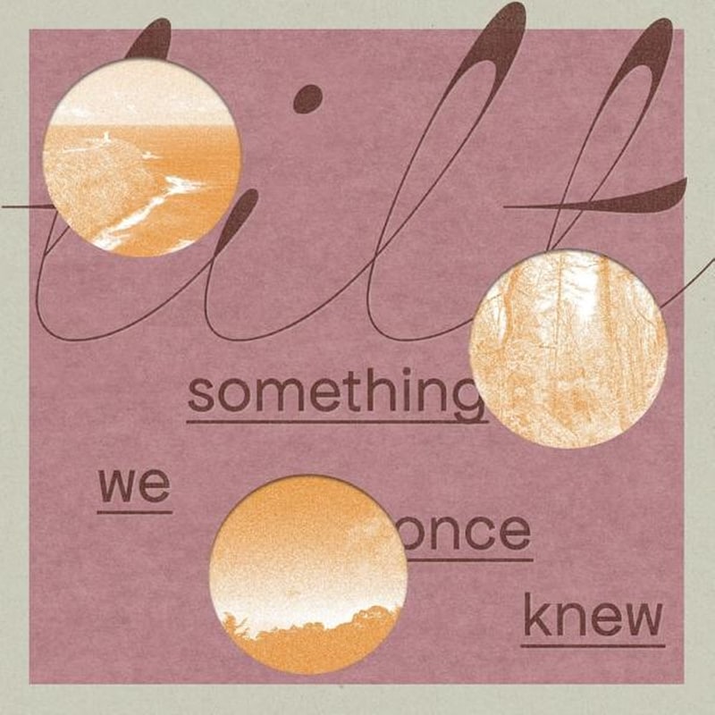 Something We Once Knew