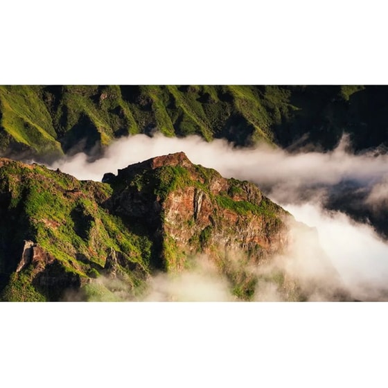 Φακός Olympus M.Zuiko Digital ED 40-150mm f/2.8 PRO MFT image 6