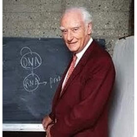 Μια εκπληκτική υπόθεση (χαρτόδετο) image 1