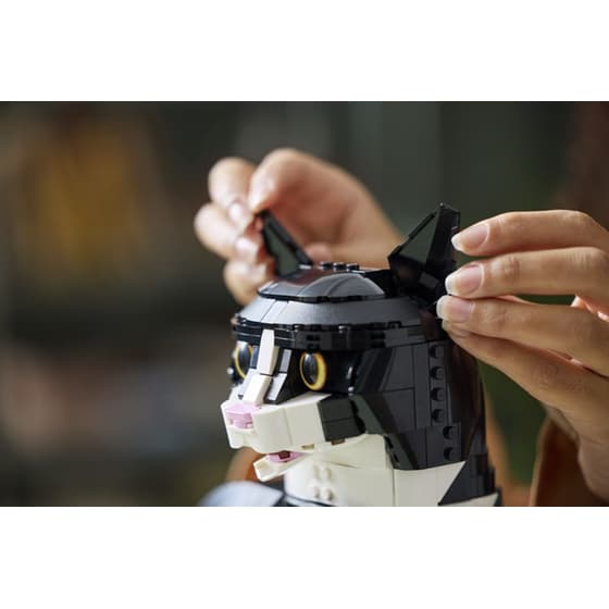 LEGO® Ideas Tuxedo Cat (21349) image 13