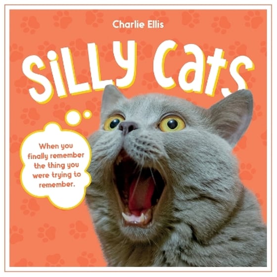 Silly Cats image 0