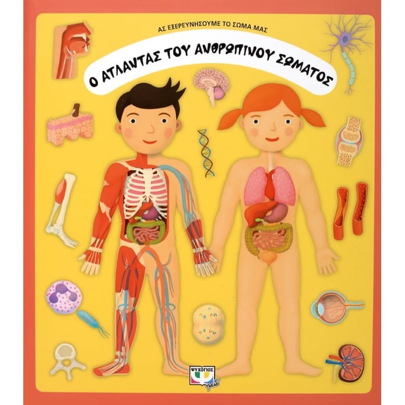 Ο άτλαντας του ανθρώπινου σώματος