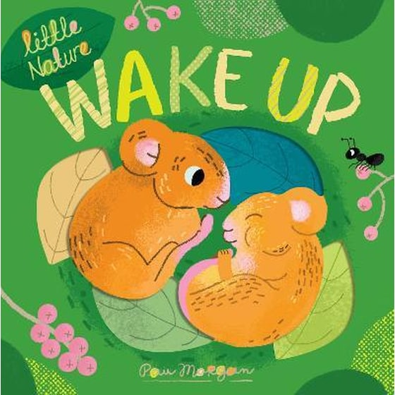 Wake Up image 0