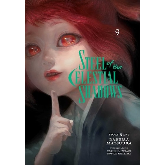 Steel of the Celestial Shadows, Vol. 9 image 0