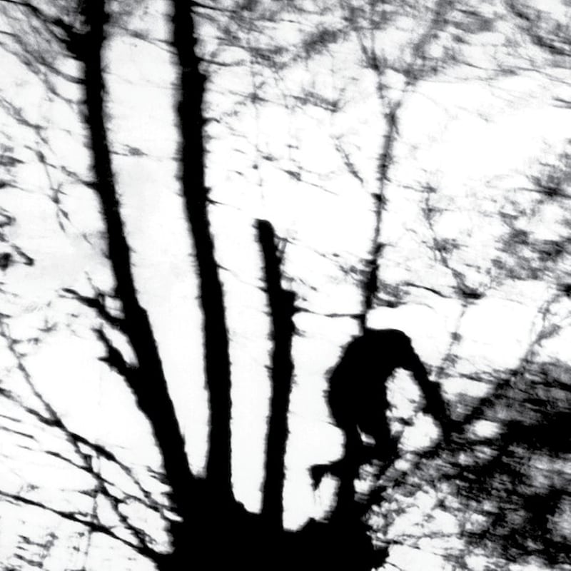 Camouflage Heart (Clear LP)