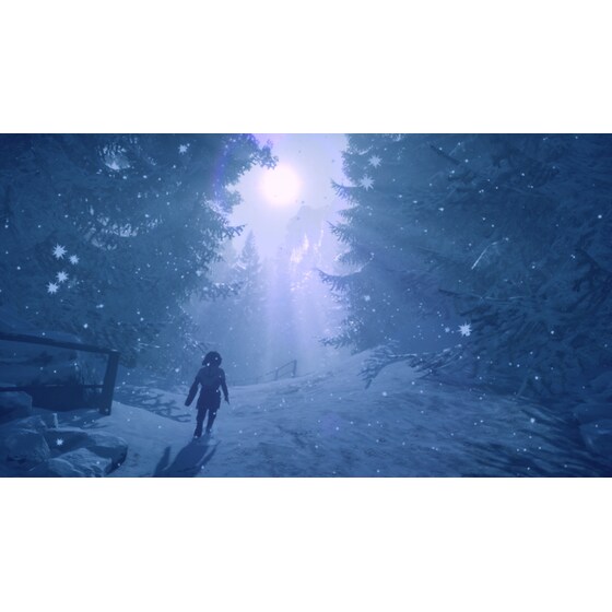 Skabma: Snowfall - PS4 image 20