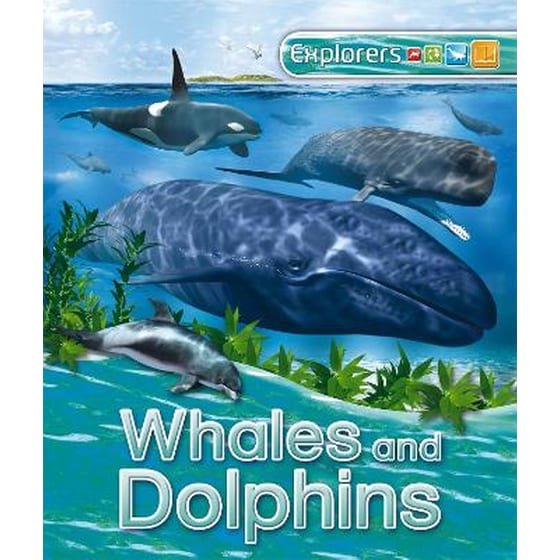 Explorers: Whales and Dolphins image 0