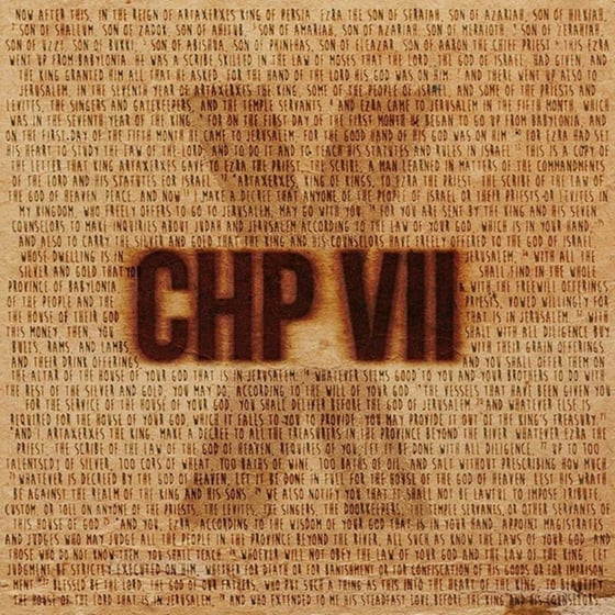 Chapter 7 (LP) image 0