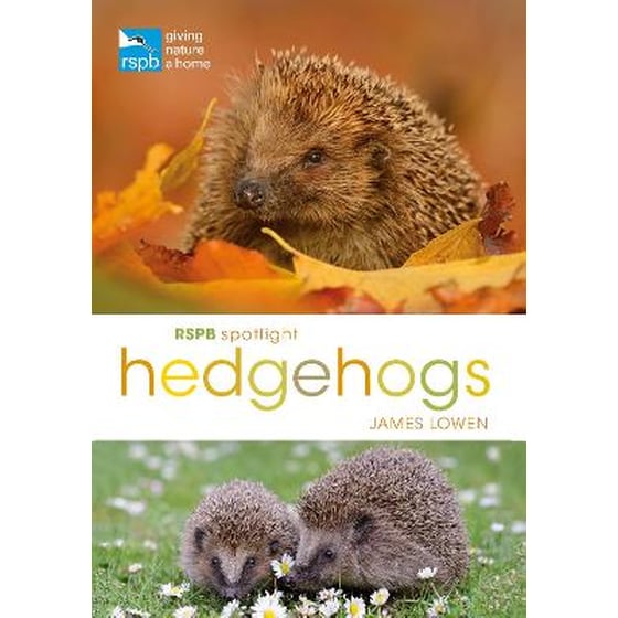 RSPB Spotlight Hedgehogs image 0