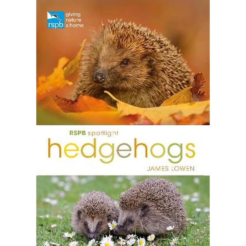 RSPB Spotlight Hedgehogs