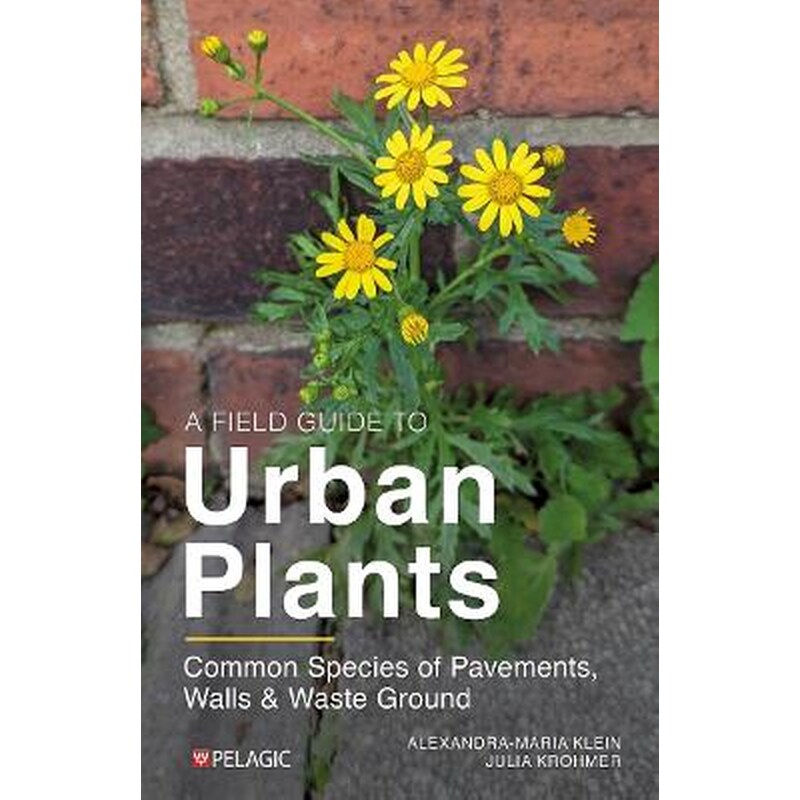 A Field Guide to Urban Plants