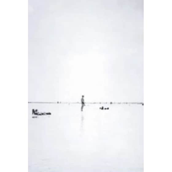 Ο αγαπημένος των μελισσών (Συλλεκτική έκδοση) image 0