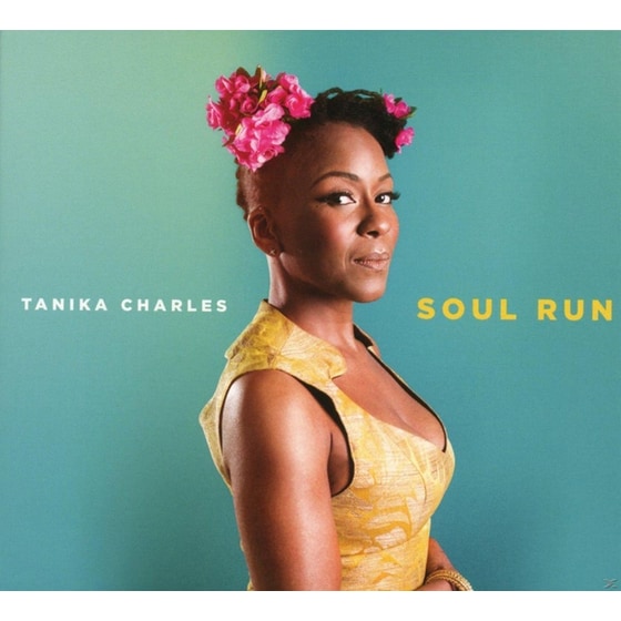 Soul Run image 0