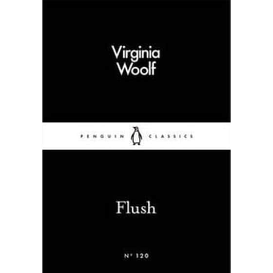 Flush image 0