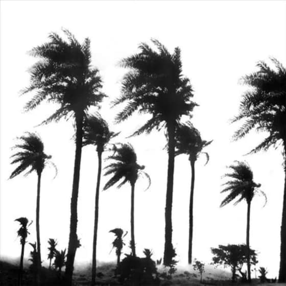 Crollo Nervoso (2LP) image 0