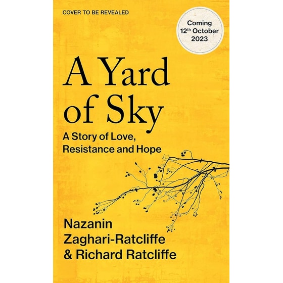 A Yard of Sky image 0