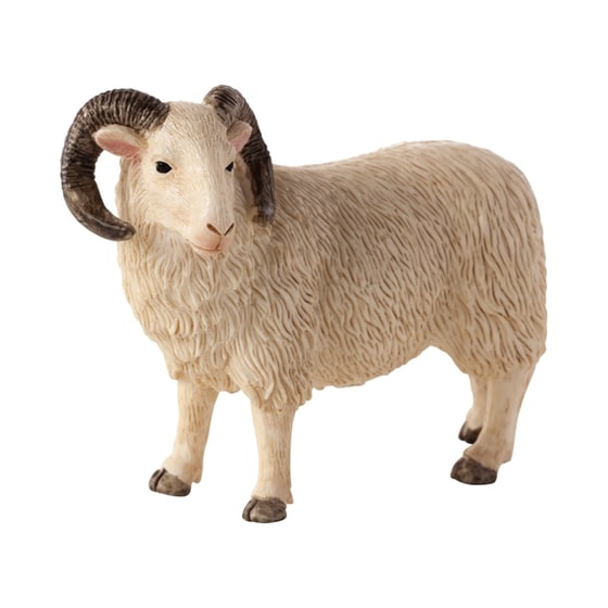 Κριάρι Animal Planet (M) image 0