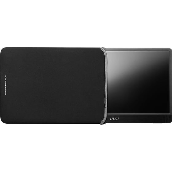 MSI PRO Series PRO MP161 E2 15.6" IPS Flat 60 Hz 4 ms image 9