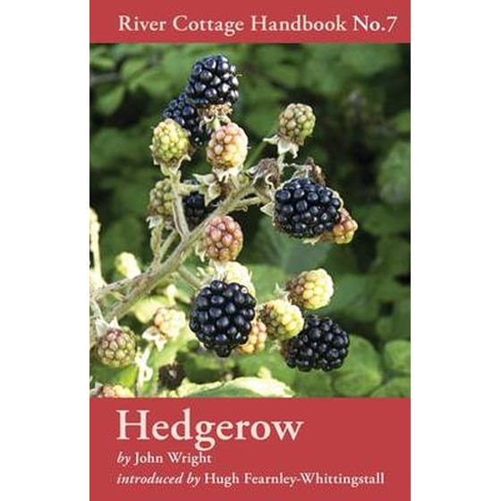 Hedgerow image 0