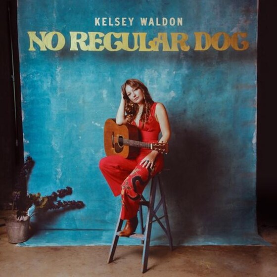 No Regular Dog image 0