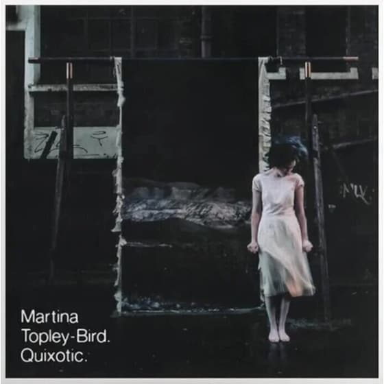 Quixotic (2LP) image 0