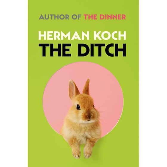 The Ditch image 0