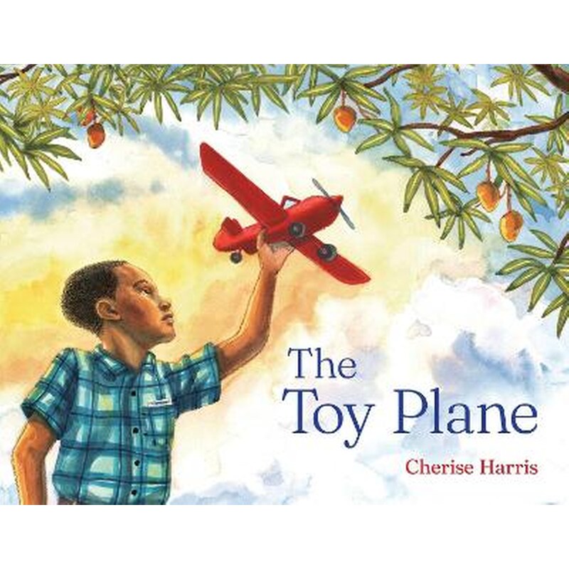 The Toy Plane