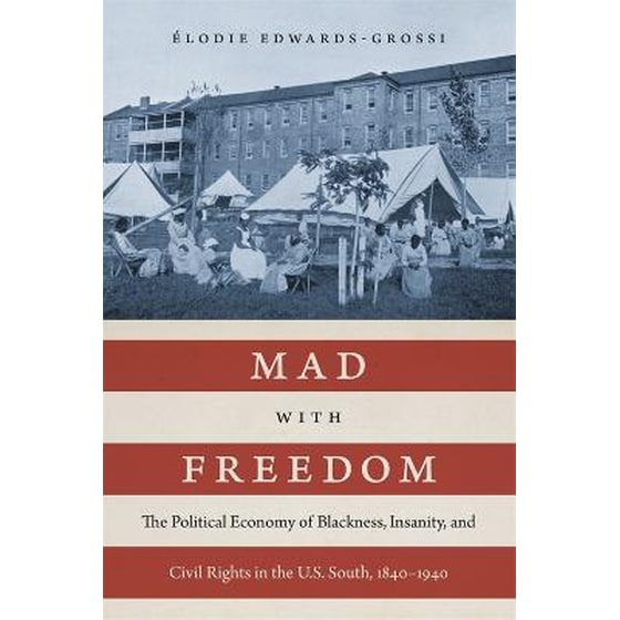 Mad with Freedom : The Political Economy of Blackness, Insanity, and Civil Rights in the U.S. South, 1840-1940 image 0