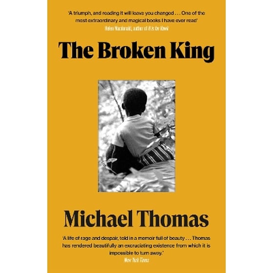 The Broken King image 0