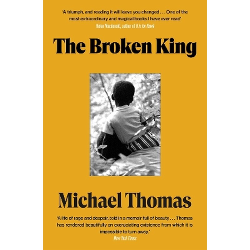 The Broken King