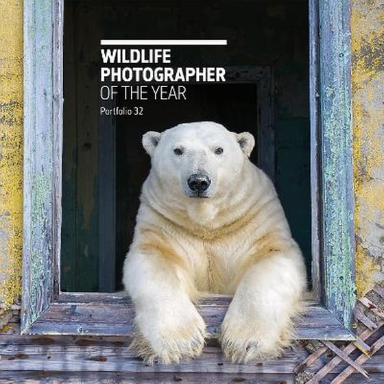 Wildlife Photographer of the Year: Portfolio 32 image 0