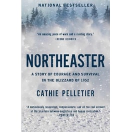Northeaster