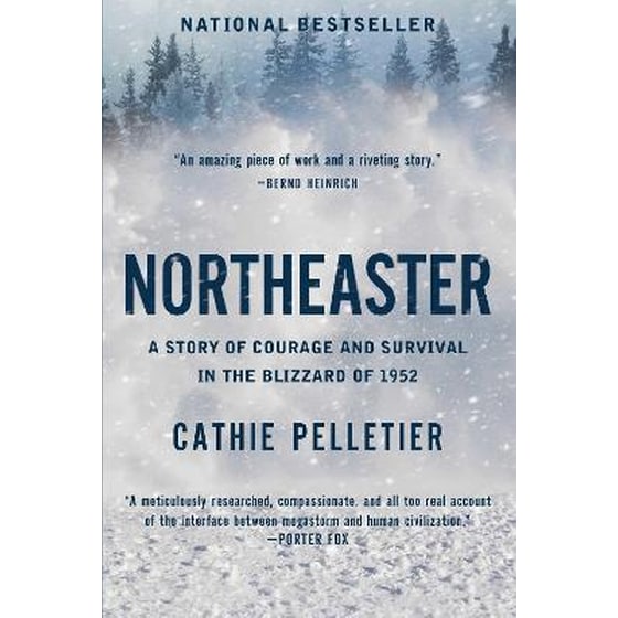 Northeaster image 0