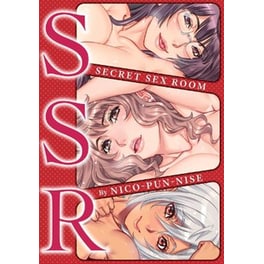 Secret Sex Room