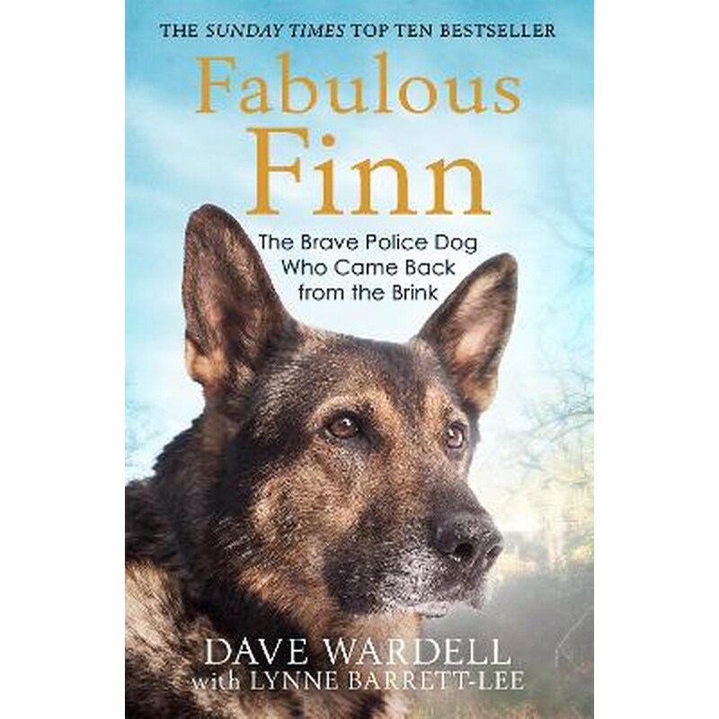 Fabulous Finn