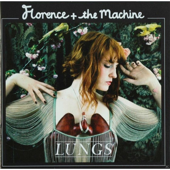 Lungs image 0