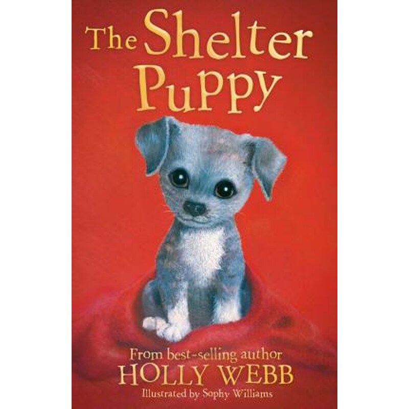 The Shelter Puppy