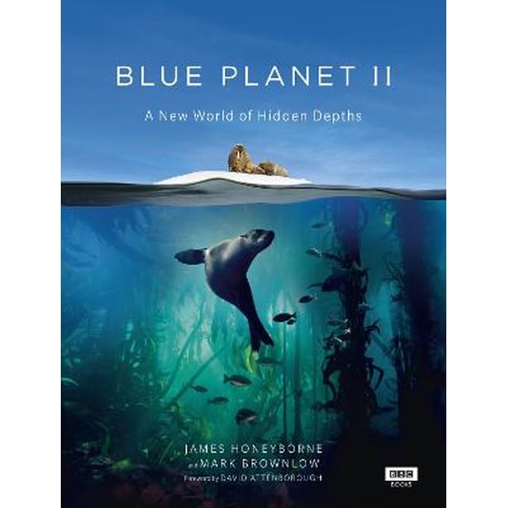 Blue Planet II image 0
