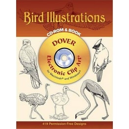 Bird Illustrations