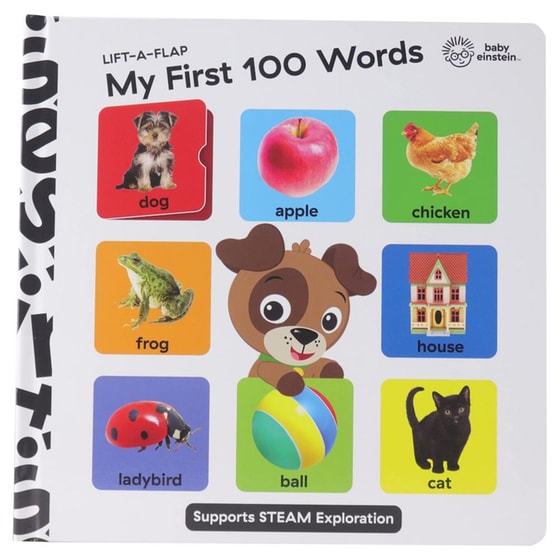 Baby Einstein Lift A Flap My First 100 Words Novelty Board Book image 0