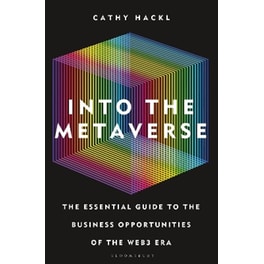 Into the Metaverse