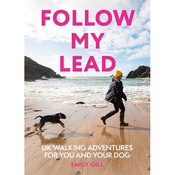 Follow My Lead image 0