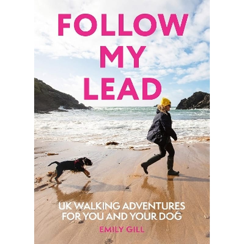 Follow My Lead
