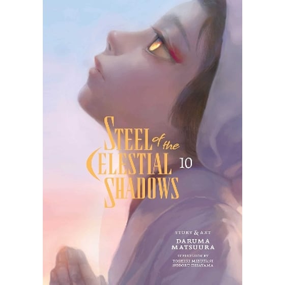 Steel of the Celestial Shadows, Vol. 10 image 0