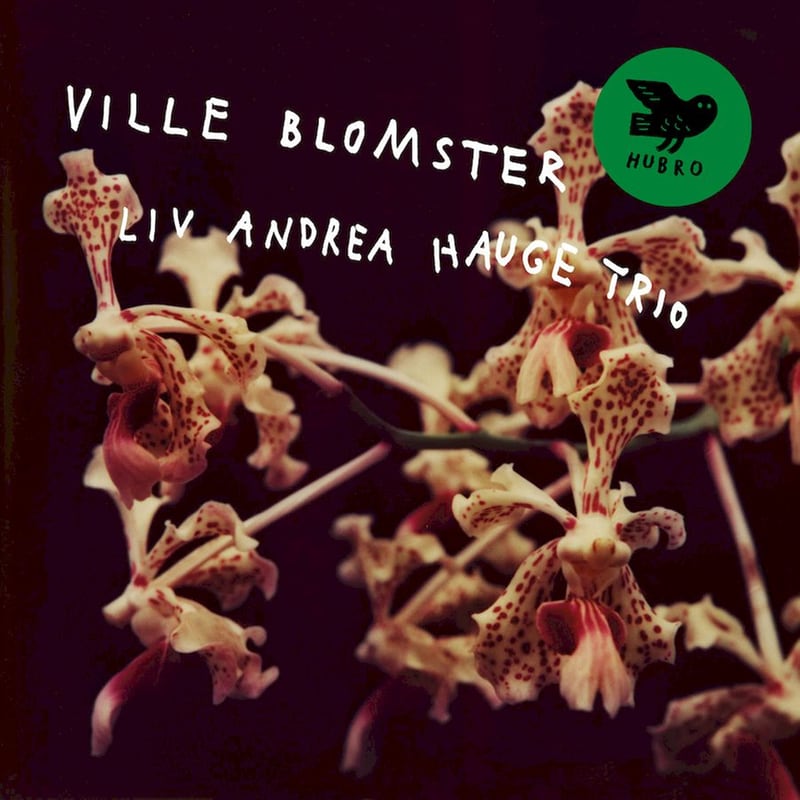 Ville Blomster (LP)