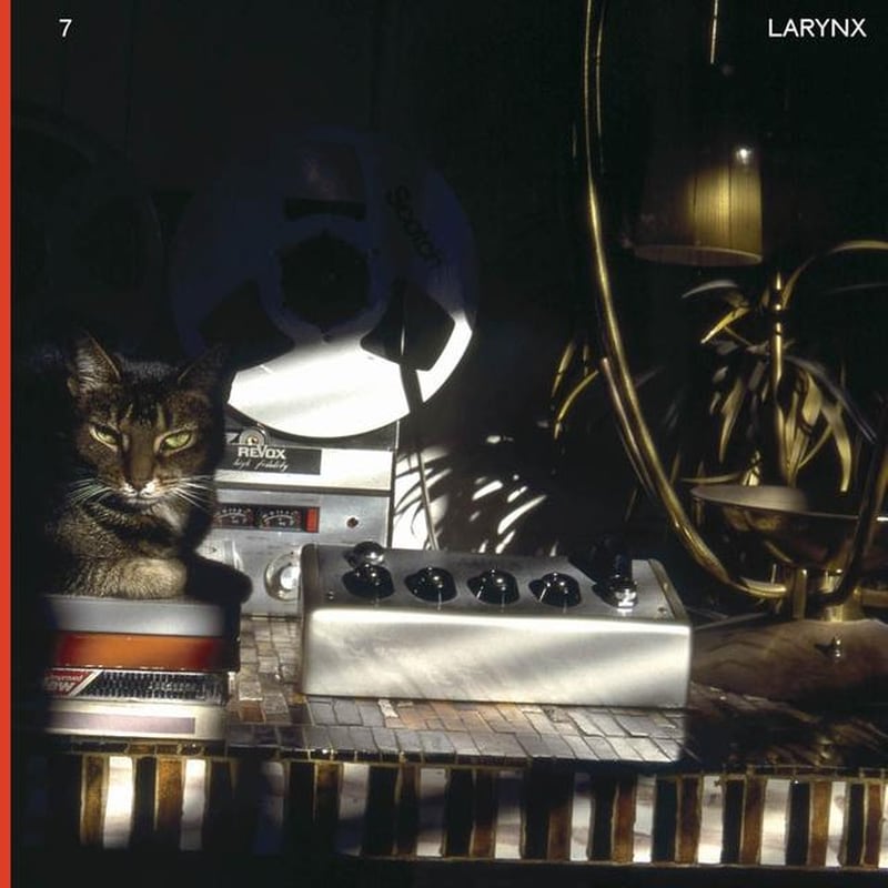 Larynx