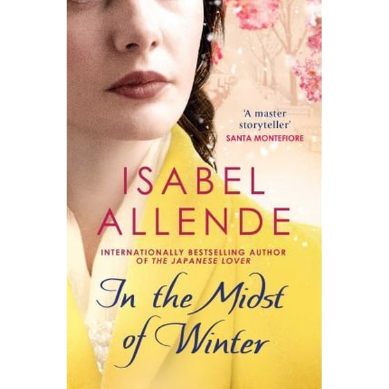 In the Midst of Winter image 0