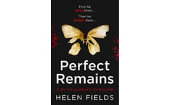 Perfect Remains
