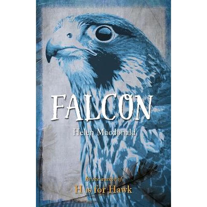 Falcon