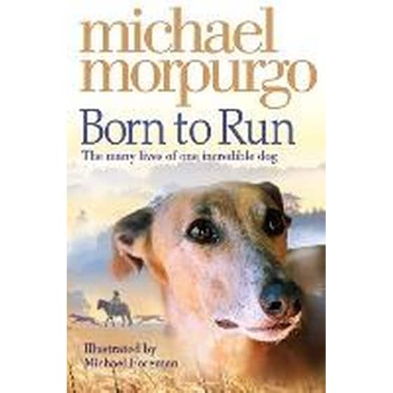 Born to Run image 0